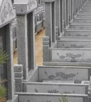 台州祖坟墓地出现这种现象，大事不妙，千万要注意了！