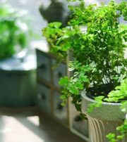 台州专属于你的开运指南，助你鸿运当头福满身！